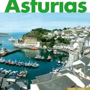 ASTURIAS MONUMENTAL Y TURÍSTICA, DÍEZ TEJÓN LUIS Rabatt