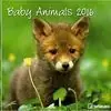 2016 BABY ANIMALS30 X 30, Garantierte Lieferung