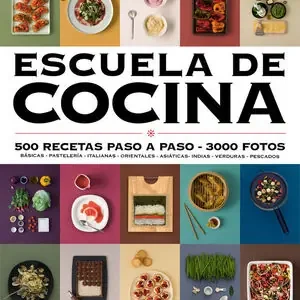 Schnäppchen ESCUELA DE COCINA (EDICIÓN ACTUALIZADA) (ESCUELA DE COCINA). 500 RECETAS PASO A PASO - 3000 FOTOS, AUTORES VARIOS; AA.VV; VV.AA.