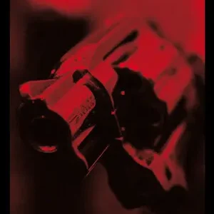 Rabatt AMERICAN NOIR, VV.AA.; ELLROY; PLEZNER, JAMES; OTTO, E.