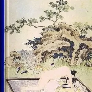 Sonderaktion JIN PING MEI. TOMO II. JIN PING MEI II, ERUDITO DE LAS CARCAJADAS