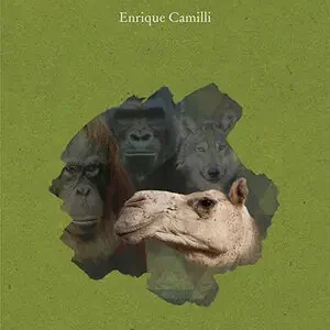 RECREACIÓN Neue Kollektion