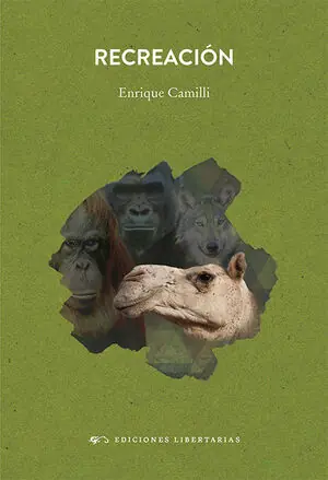 RECREACIÓN Neue Kollektion