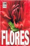 FLORES. CUBE BOOK Heute Kaufen