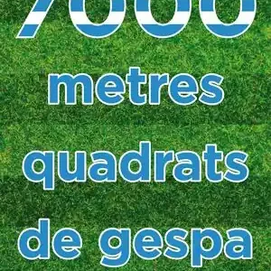 Exklusiv 7000 METRES QUADRATS DE GESPA. UNA NOVEL·LA SOBRE EL PODER DE LA IL·LUSIÓ