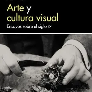 Top-Qualität ARTE Y CULTURA VISUAL. ENSAYOS SOBRE EL SIGLO XX