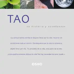 TAO. SU HISTORIA Y ENSEÑANZAS Bestseller