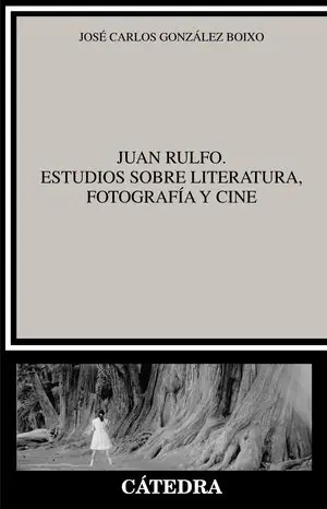 Bestpreis JUAN RULFO. ESTUDIOS SOBRE LITERATURA, FOTOGRAFÍA Y CINE