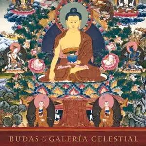 Zertifiziert BUDAS DE LA GALERÍA CELESTIAL