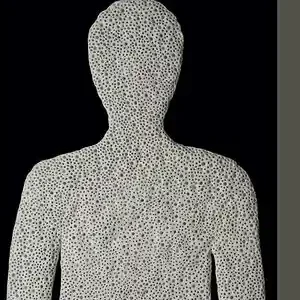 Top-Preis ALREDEDORES DEL SER