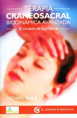 TERAPIA CRANEOSACRAL BIODINÁMICA AVANZADA. EL CORAZÓN DE LA PRÁCTICA Angebot