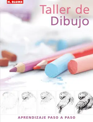 Direktkauf TALLER DE DIBUJO