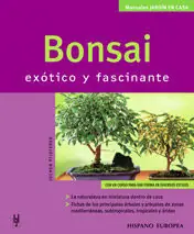 BONSAI Direktkauf