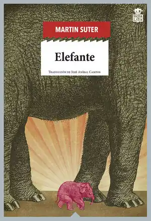 ELEFANTE Direkt Vom Hersteller