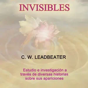 Saisonangebot PROTECTORES INVISIBLES