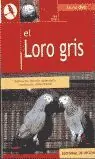 EL LORO GRIS Bestpreis