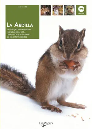 Expressversand LA ARDILLA. MORFOLOGÍA, ALIMENTACIÓN, REPRODUCCIÓN,...