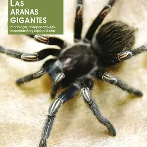 Begrenztes Angebot LAS ARAÑAS GIGANTES