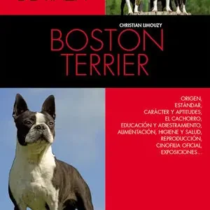 Bestseller BOSTON TERRIER