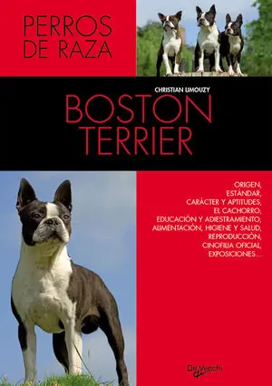 Bestseller BOSTON TERRIER