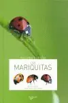 Finale Aktion LAS MARIQUITAS