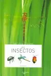 Ausverkauf LOS INSECTOS