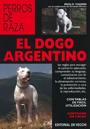 EL DOGO ARGENTINO Nur Für Kurze Zeit