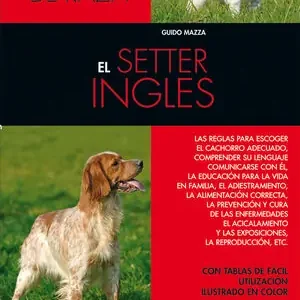 EL SETTER INGLÉS Im Trend