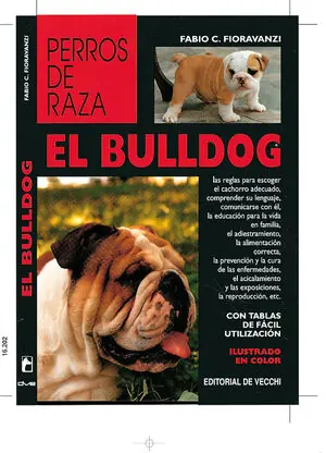 EL BULLDOG Nur Für Kurze Zeit