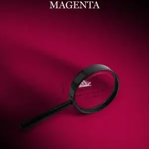 EL VELER MAGENTA. PREMI DE NOVEL·LA CURTA JUST M. CASERO 2016 Neuheit