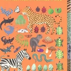 Aktuell BUSCA Y ENCUENTRA FORMAS, RAYAS, MANCHAS Y MÁS. ENCUENTRA EL INTRUSO EN LA NATURALEZA