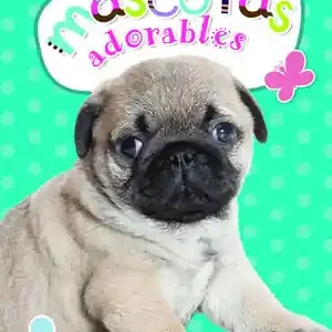 Sonderangebot MASCOTAS ADORABLES