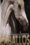 Großhandel HORSES. TODO EL TEMPERAMENTO Y LA ELEGANCIA DE LOS CABALLOS