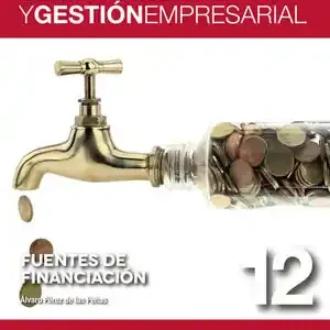 Sofort Bestellen FUENTES DE FINANCIACIÓN