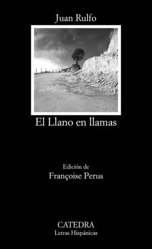EL LLANO EN LLAMAS Wochenendangebot