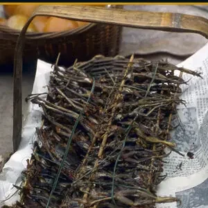 DE COMERSE EL MUNDO. LA COCINA DE LOS VIAJEROS ESPAÑOLES Kracherpreis