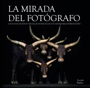 Billig LA MIRADA DEL FOTÓGRAFO