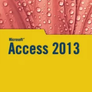 ACCESS 2013 Mega-Angebot