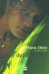 FLOR DEL DESIERTO. AMANECER DESIERTO Gratis Versand
