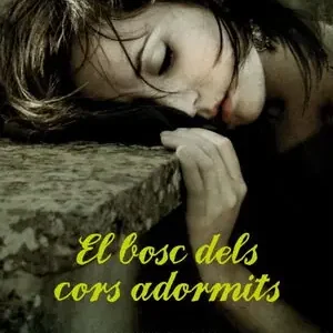 Saisonangebot EL BOSC DELS CORS ADORMITS (EL BOSC 1)