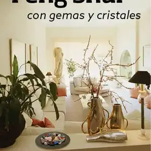 FENG SHUI CON GEMAS Y CRISTALES Abverkauf