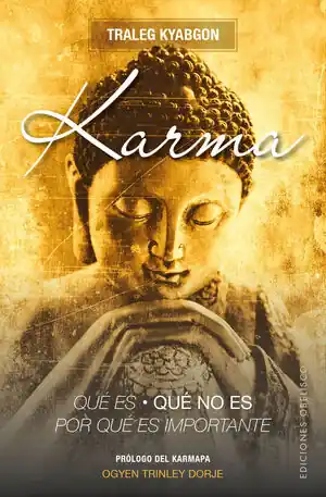 Heißes Angebot KARMA.QUÉ ES, QUÉ NO ES, POR QUÉ ES IMPORTANTE