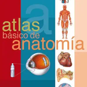 Wochenendangebot ATLAS BÁSICO DE ANATOMÍA