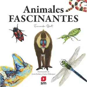 Ausverkauf ANIMALES FASCINANTES