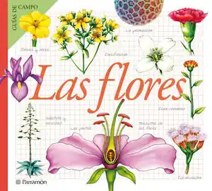 Super-Preis LAS FLORES