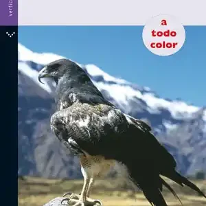GUÍA PARA RECONOCER LAS AVES Markenprodukt