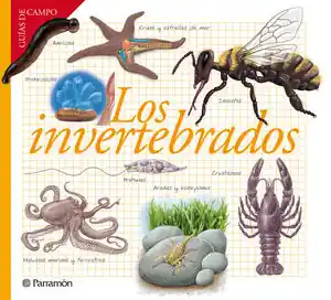 Abverkauf LOS INVERTEBRADOS