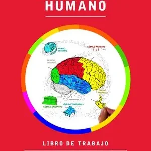 EL CEREBRO HUMANO Großhandel