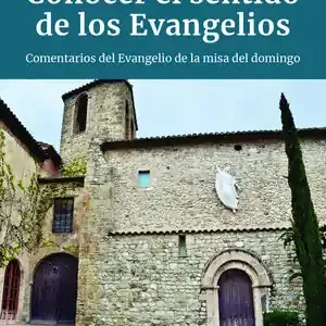 CONOCER EL SENTIDO DE LOS EVANGELIOS. COMENTARIOS DEL EVANGELIO DE LA MISA DEL DOMINGO Großhandel