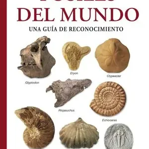 FÓSILES DEL MUNDO. UNA GUÍA DE RECONOCIMIENTO Online Kaufen